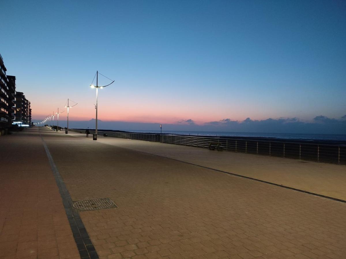 Zilverzand Aan Zee - Frontaal Zeezicht كوكسيجدي المظهر الخارجي الصورة